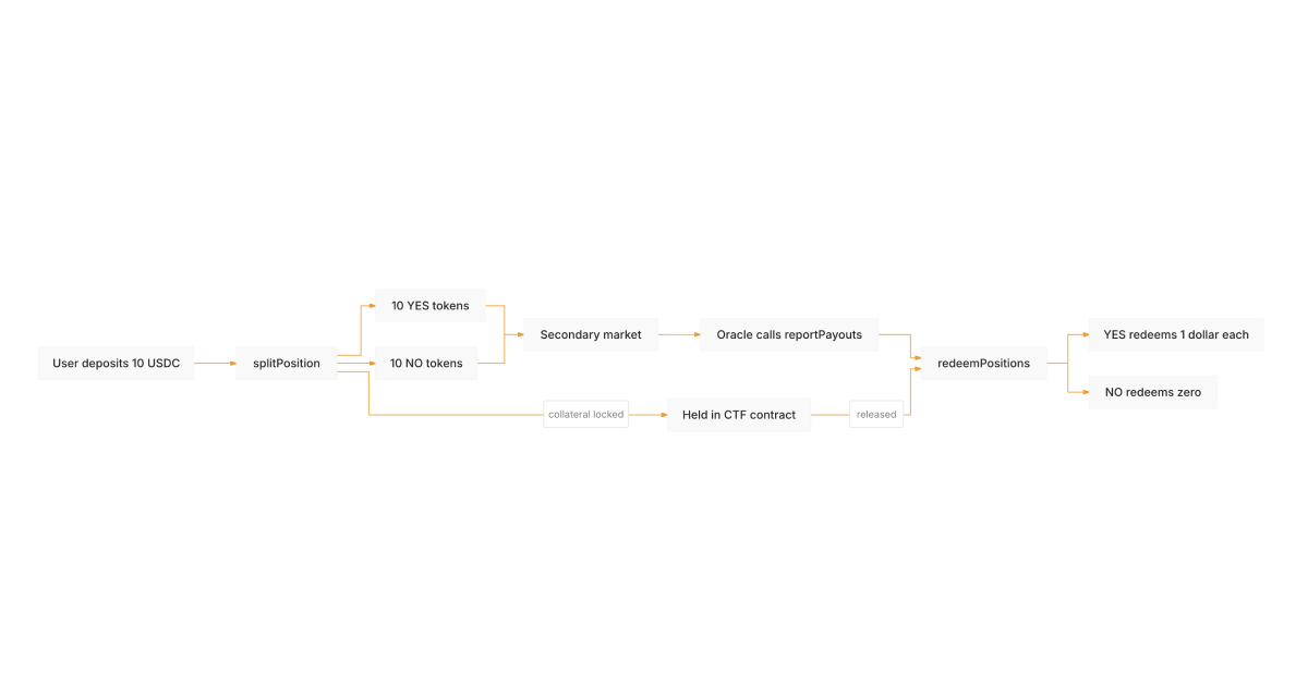 Binary outcome share lifecycle diagram